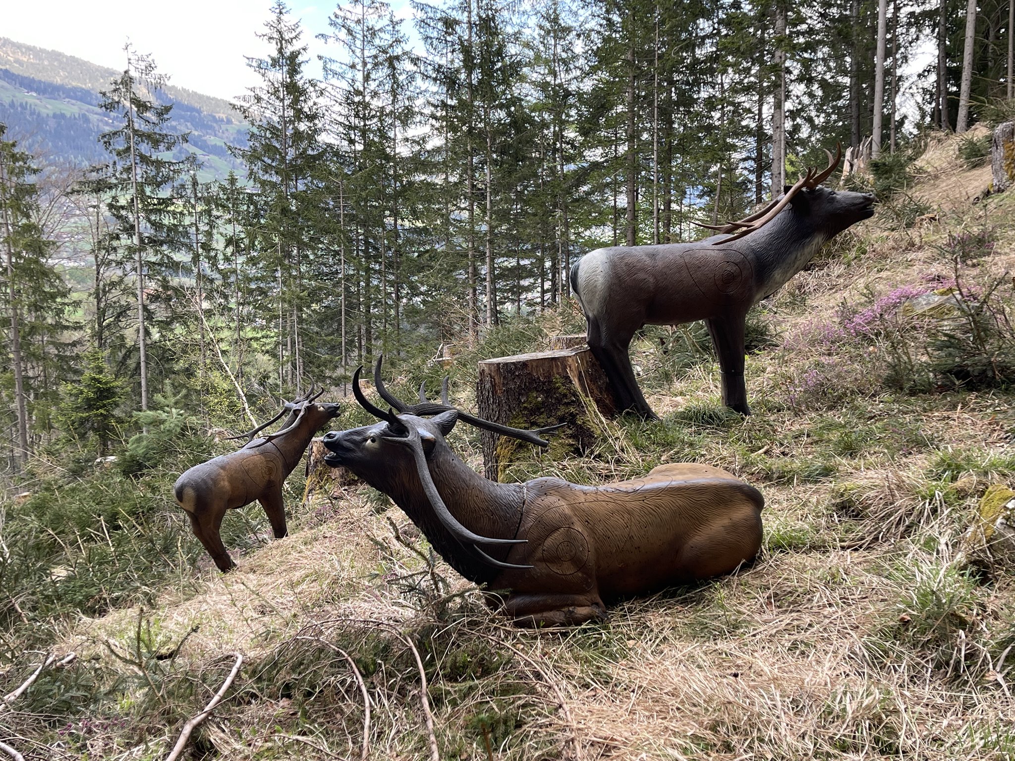 3D archery course - BOGENSPORT ZENTRUM LIENZ