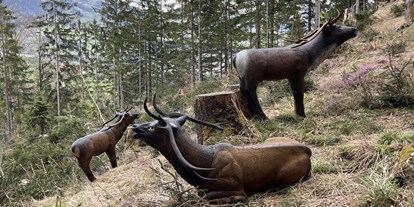 Parcours - Targets: 3D Tiere - Österreich - BOGENSPORT ZENTRUM LIENZ