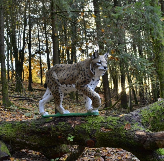 3D Parcour Bogenschießen - Schaumberger Bogensport-Parcours