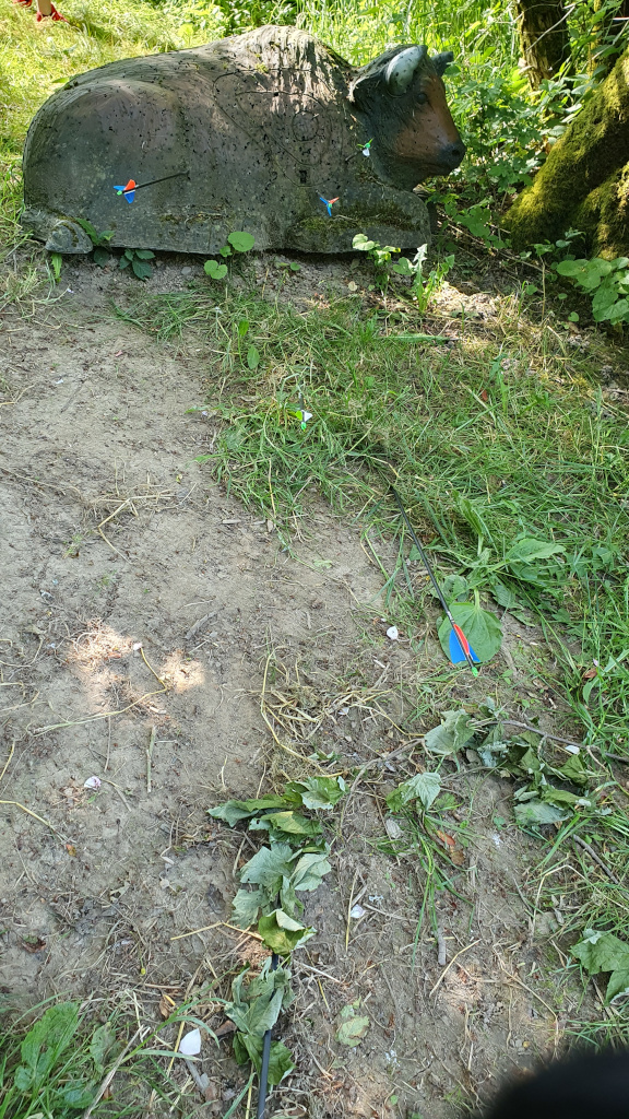 3D Parcour Bogenschießen - Bison - Biberburg Parcours DK Bow-Factory