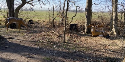 Parcours - Hunde am Parcours erlaubt - Grimmen - Im Wald - Freie Bogenschützen Vorpommern