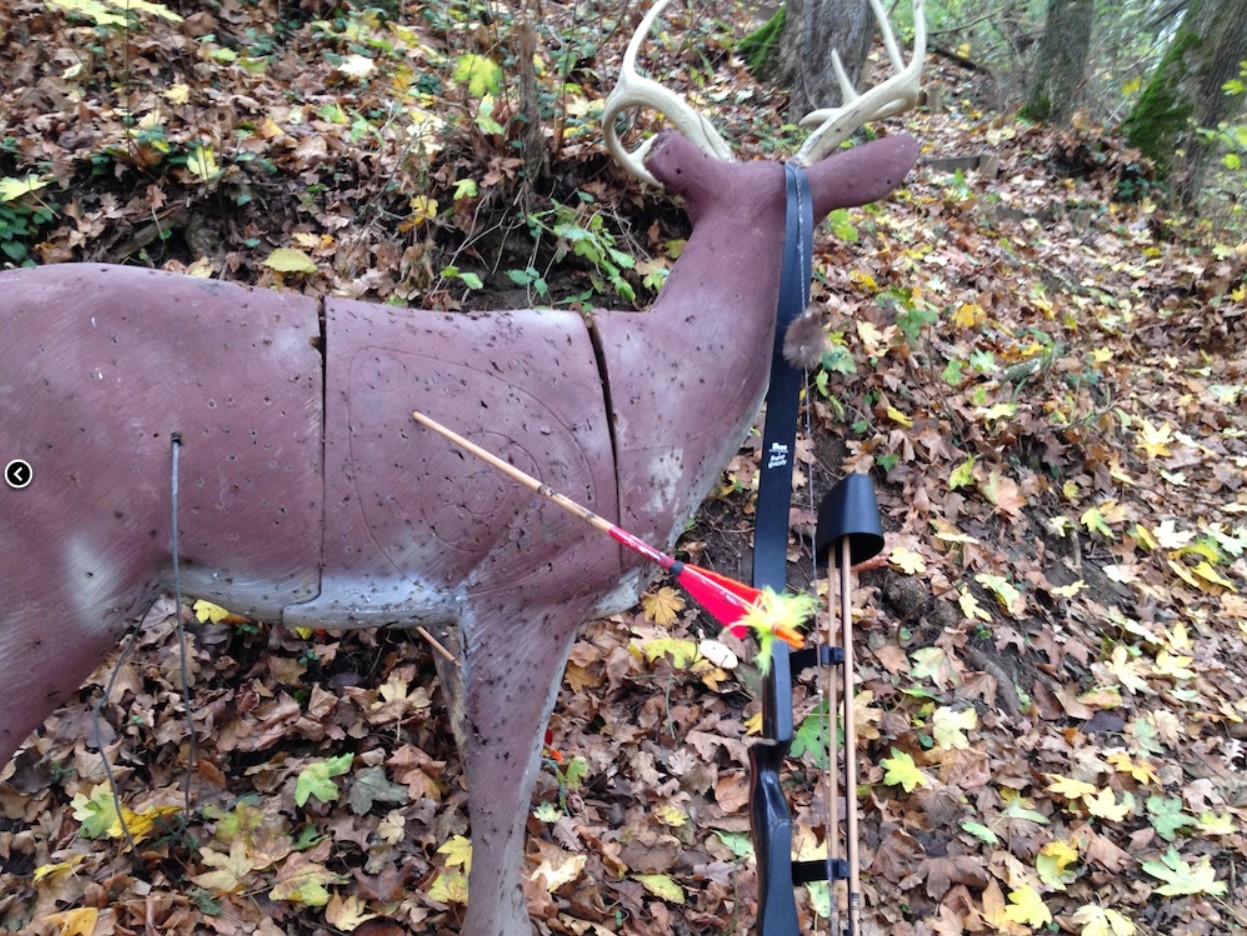 3D Parcour Bogenschießen - Camburger Bogenschützen e.V