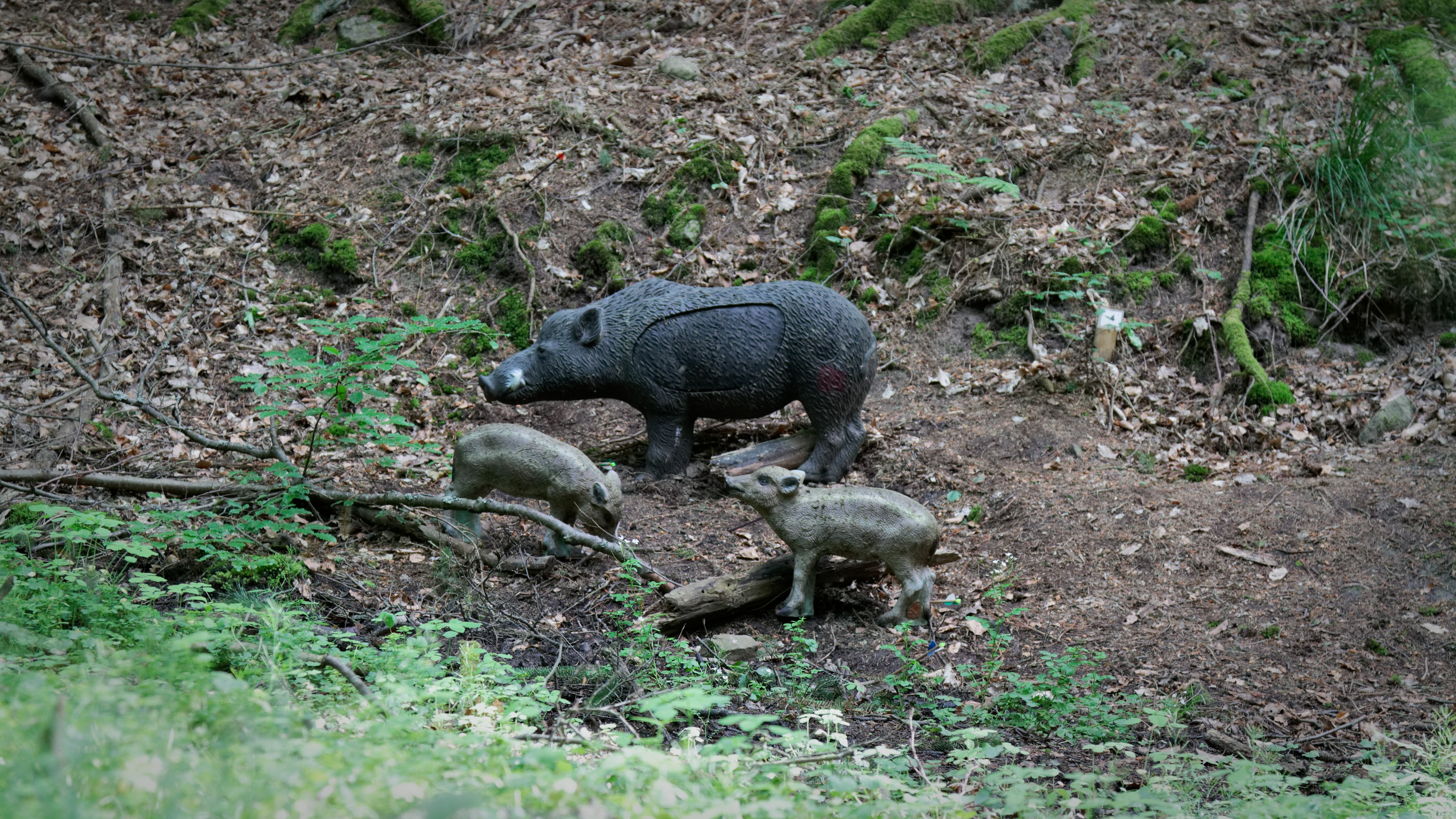 3D archery course - Ziel Nr. 4 - 3D Bogenparcours - Komma Raus