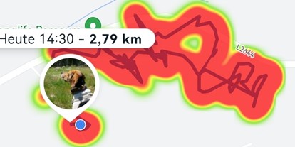 Parcours - Rugendorf - Runde per tracker - Longlife 3d-Parcours