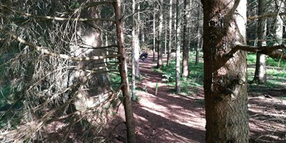Parcours - erlaubte Bögen: Compound - Wembach -  Der Waldläufer