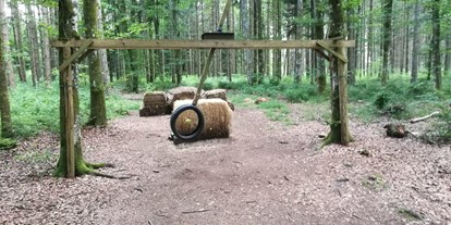 Parcours - erlaubte Bögen: Compound - Wembach - tolles Pendel mit Tennisball als Ziel -  Der Waldläufer