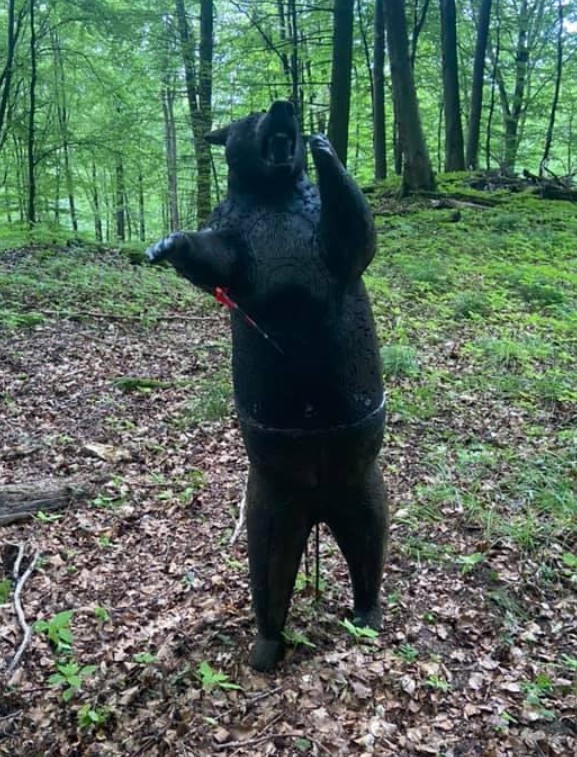 3D Parcour Bogenschießen - Bogenparcours Rothe Kuh