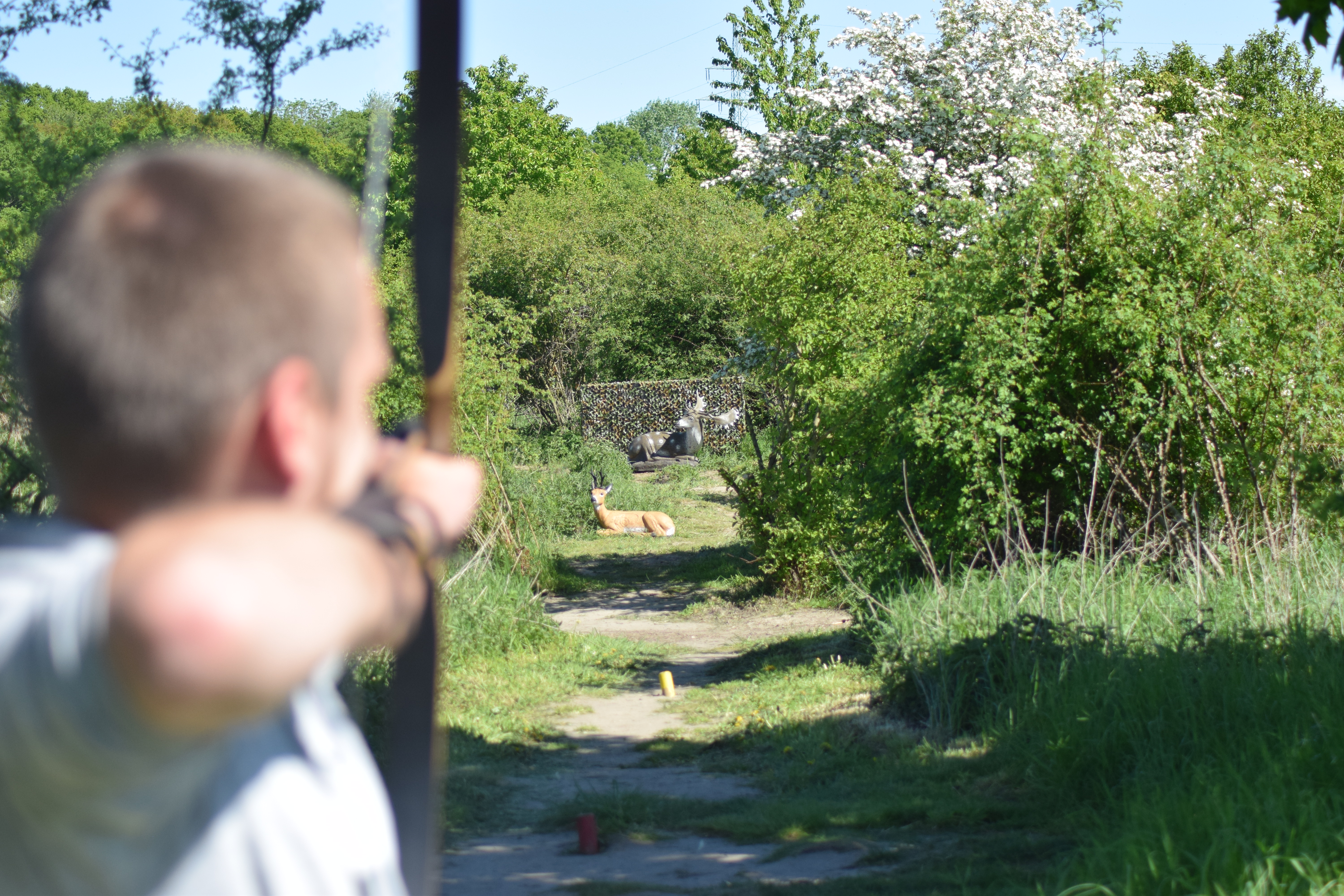 3D Parcour Bogenschießen - BOWHUNTER World Hannover / Laatzen