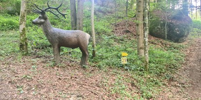 Parcours - Targets: 3D Tiere - Österreich - BSC- Strudengau 