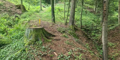 Parcours - Großamberg (Gramastetten, Puchenau) - Stay Wild  Parcours Ziel 16 - BSC- Strudengau 