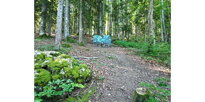 Parcours - Wald (Straß im Attergau) - BSV Salzburg