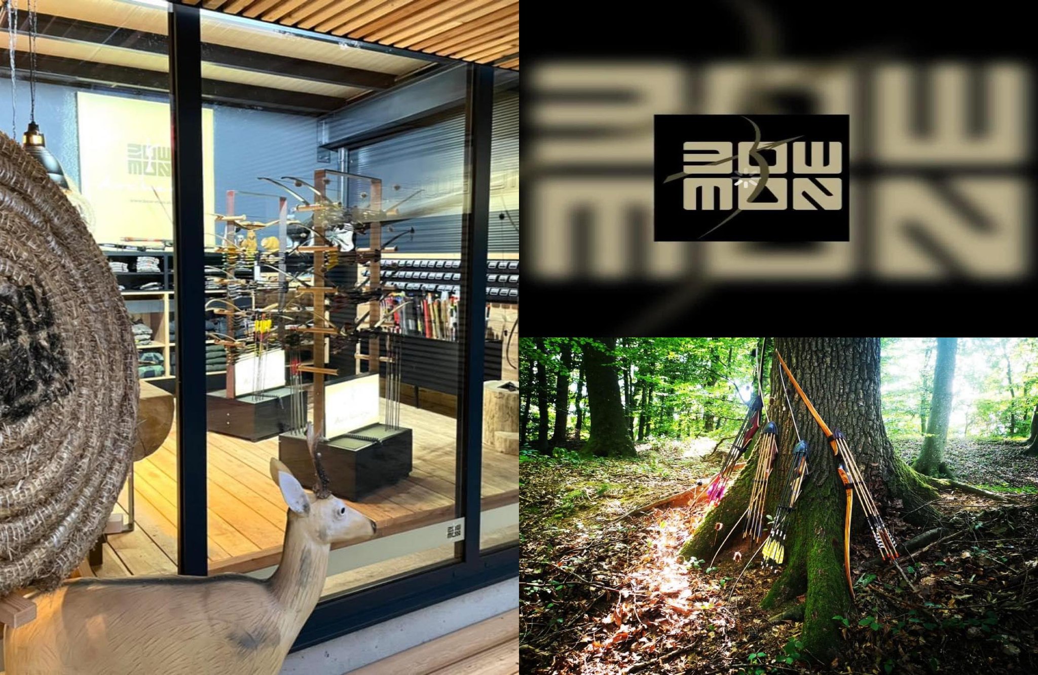 3D Parcour Bogenschießen - Bowman Bogensport