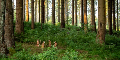 Parcours - erlaubte Bögen: Traditionelle Bögen - Almstedt - Bogenpfad Harz