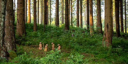 Parcours - erlaubte Bögen: Traditionelle Bögen - Weserbergland, Harz ... - Bogenpfad Harz