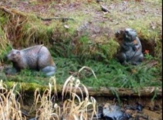 3D Parcour Bogenschießen - Instinctive Archery Westerwald e.V.