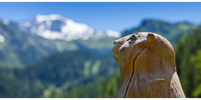 Parcours - Hunde am Parcours erlaubt - Österreich - Bogenparcours Hintertux