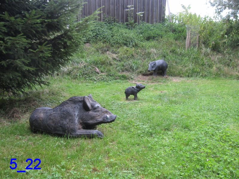 3D archery course - 3D Parcours - SV Tell Dasing e.V.