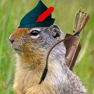 3D archery course - 3D-Parcour Wemding im Schneetal