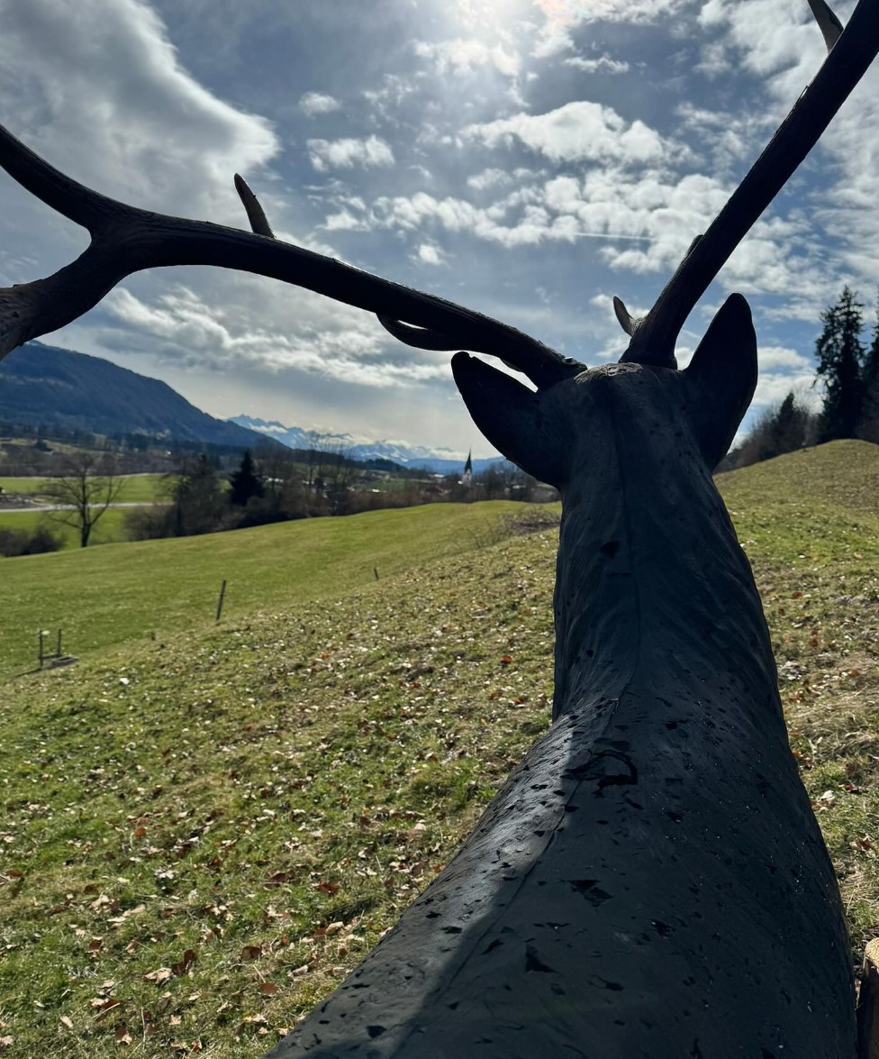 3D Parcour Bogenschießen - Bogenparcours Martinszell - Allgäu 