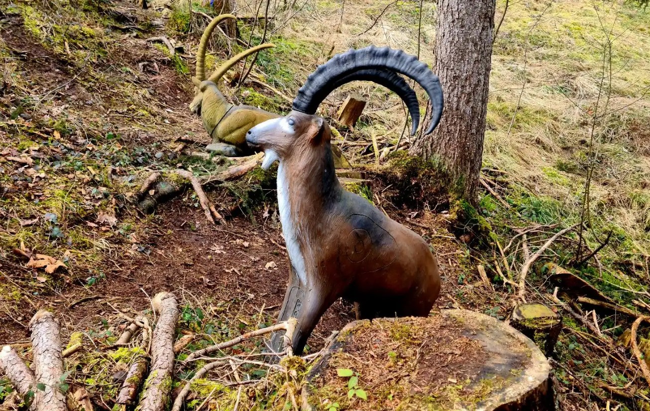 3D archery course - BSF Sigishofen