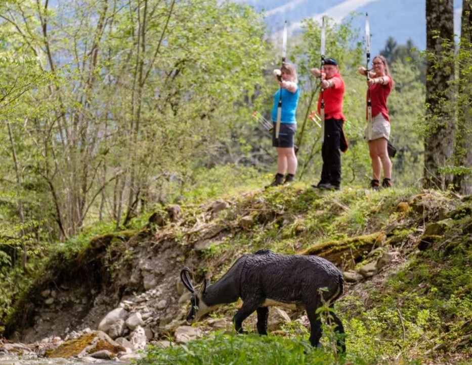 3D archery course - Bogenparcours in Bolsterlang