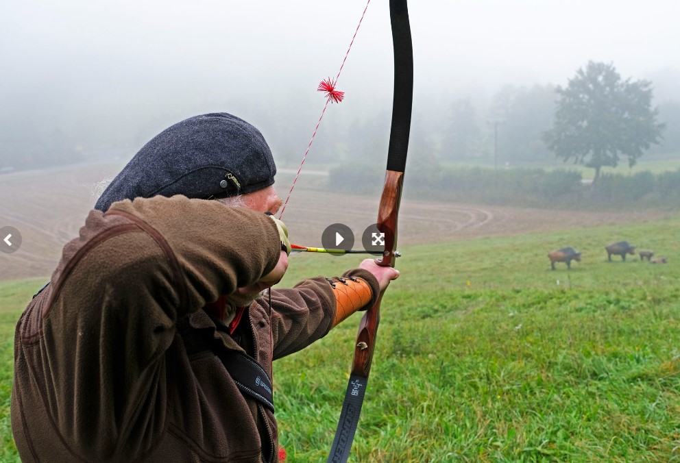 3D archery course - Abenberger Wald