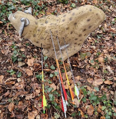 3D archery course - 3D Parcours SG Diebach