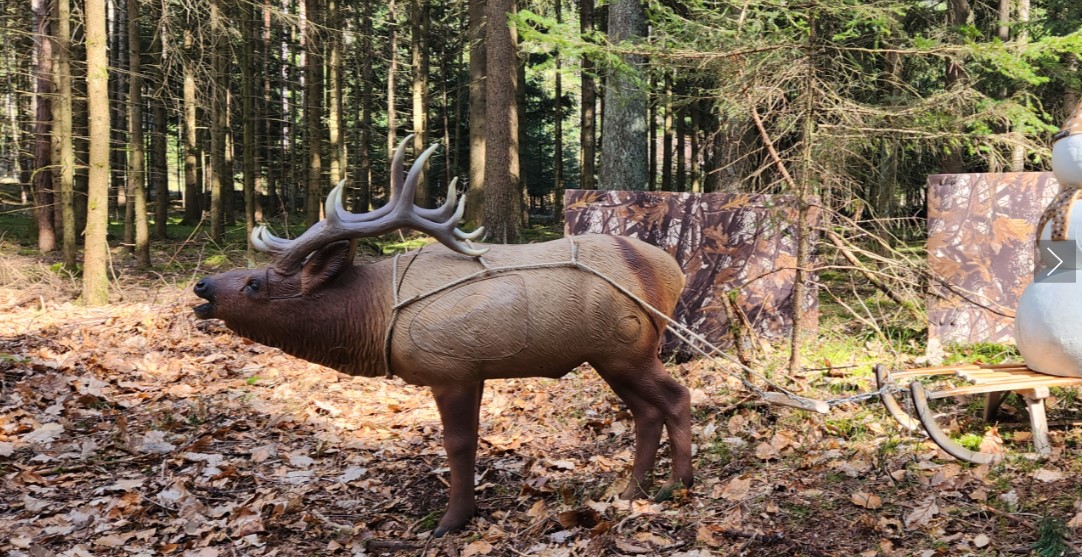 3D archery course - Bucher Bogner 3D Parcour