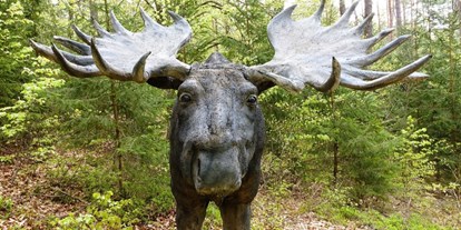 Parcours - Targets: 3D Tiere - Bernhardswald - Bogenparcours auf Schloß Guteneck