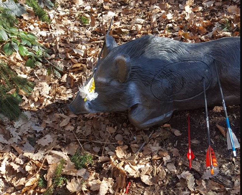 3D Parcour Bogenschießen - Steigerwald Bogenparcours