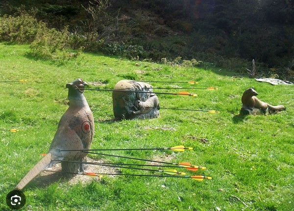 3D Parcour Bogenschießen - Tir à l'Arc, Nax