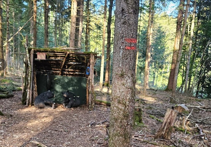 3D Parcour Bogenschießen - Hunting Arrows