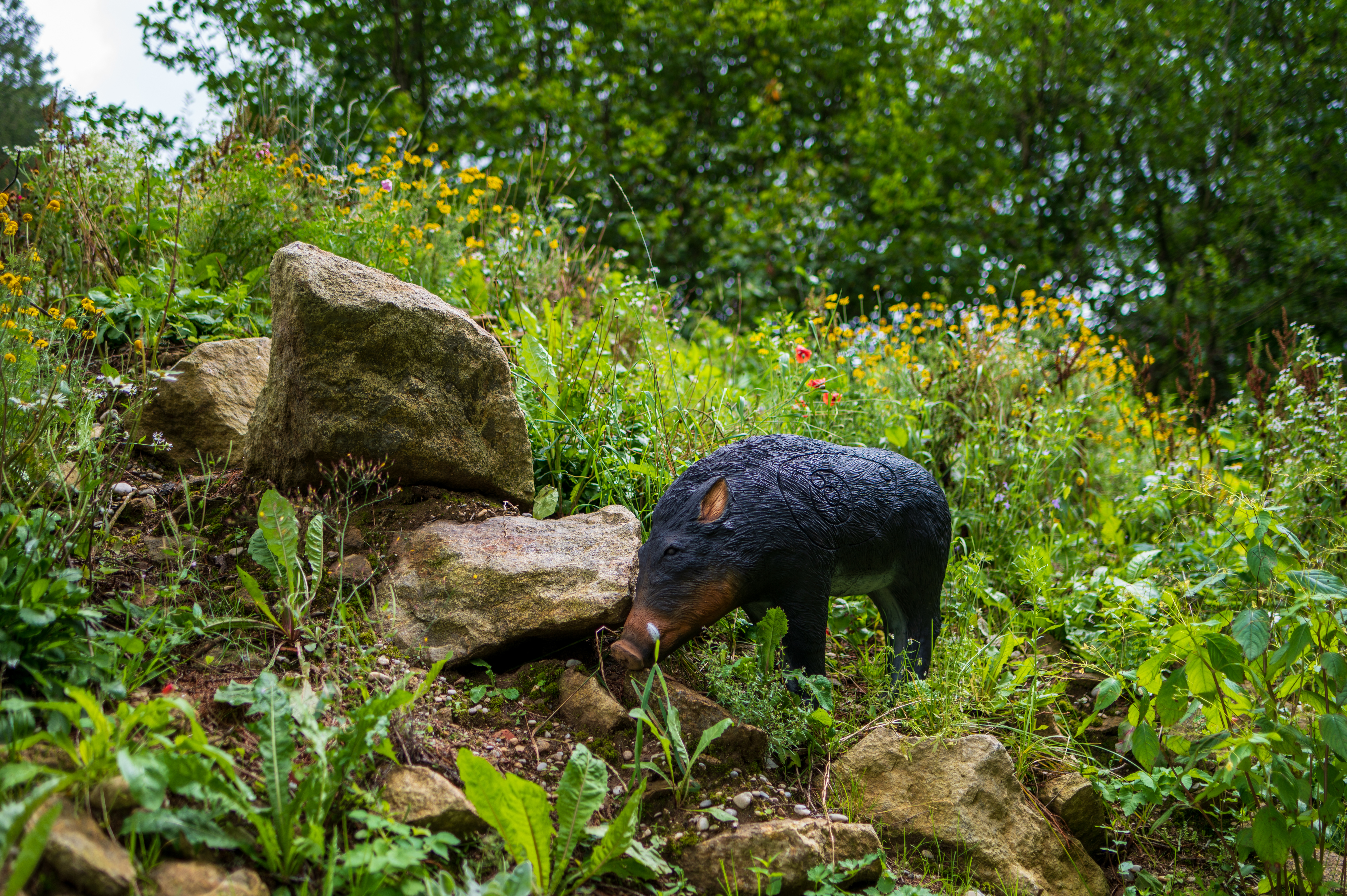 Hersteller&Marke-Details: 3D Kong Targets