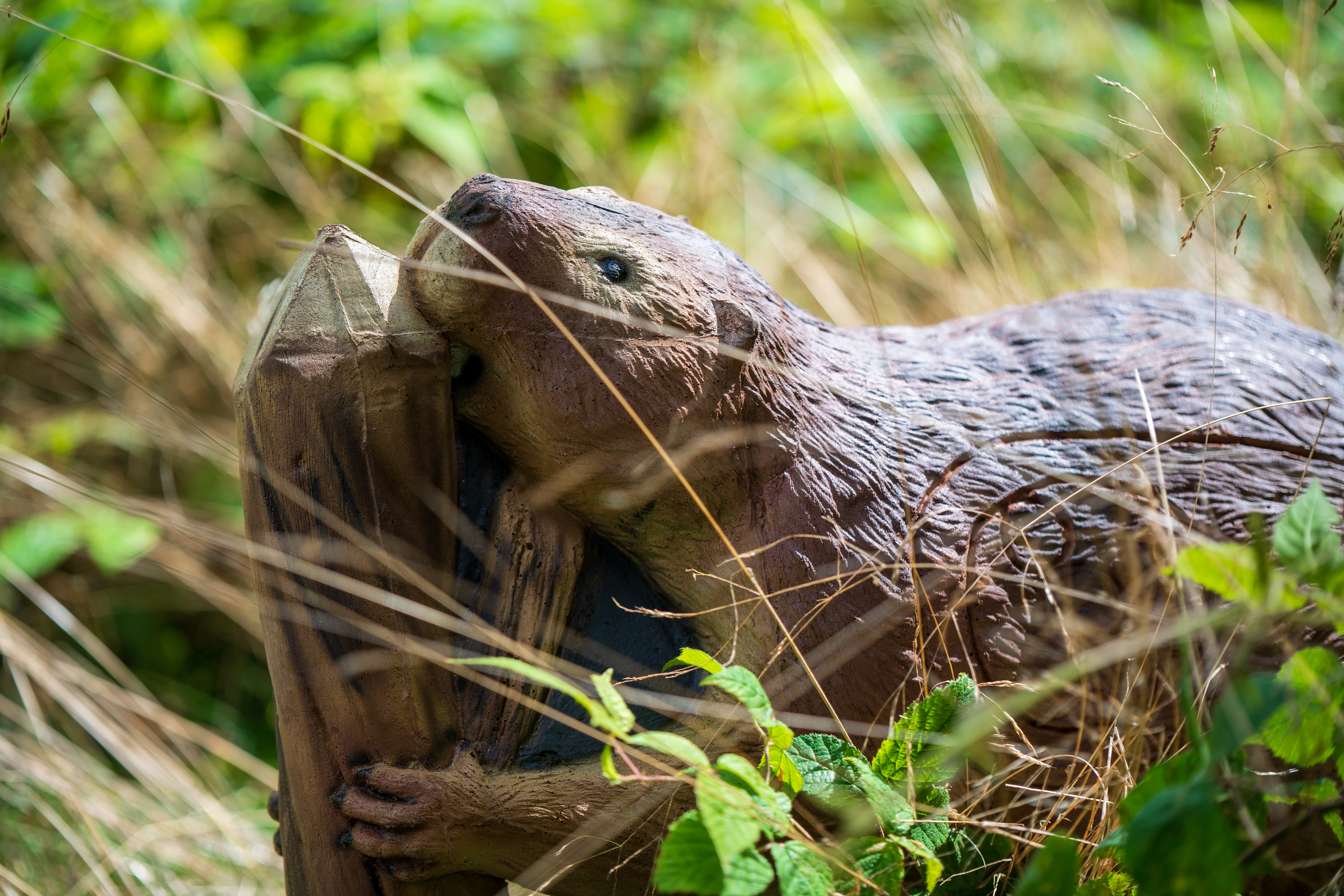 Hersteller&Marke-Details: 3D Kong Targets