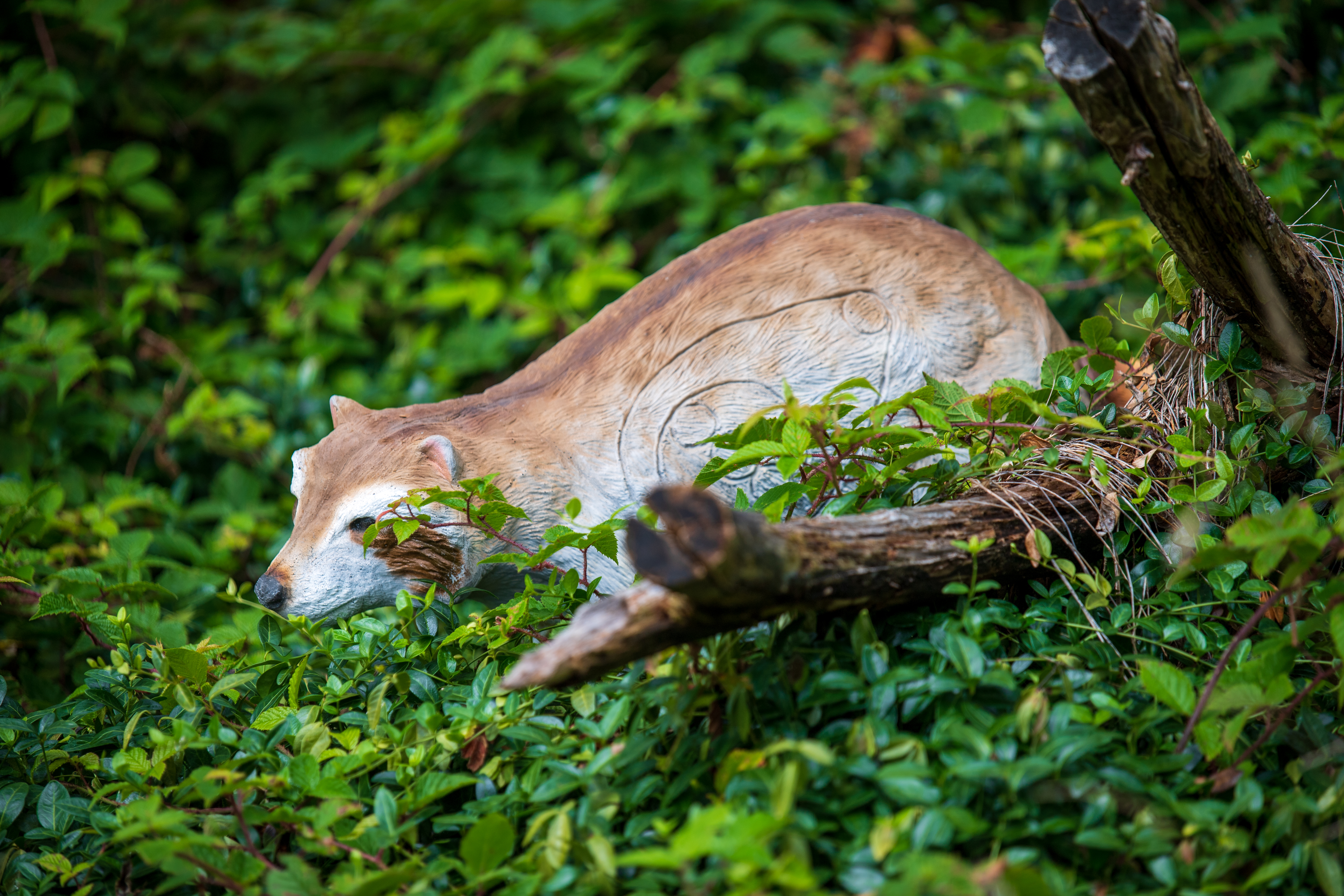 Hersteller&Marke-Details: 3D Kong Targets