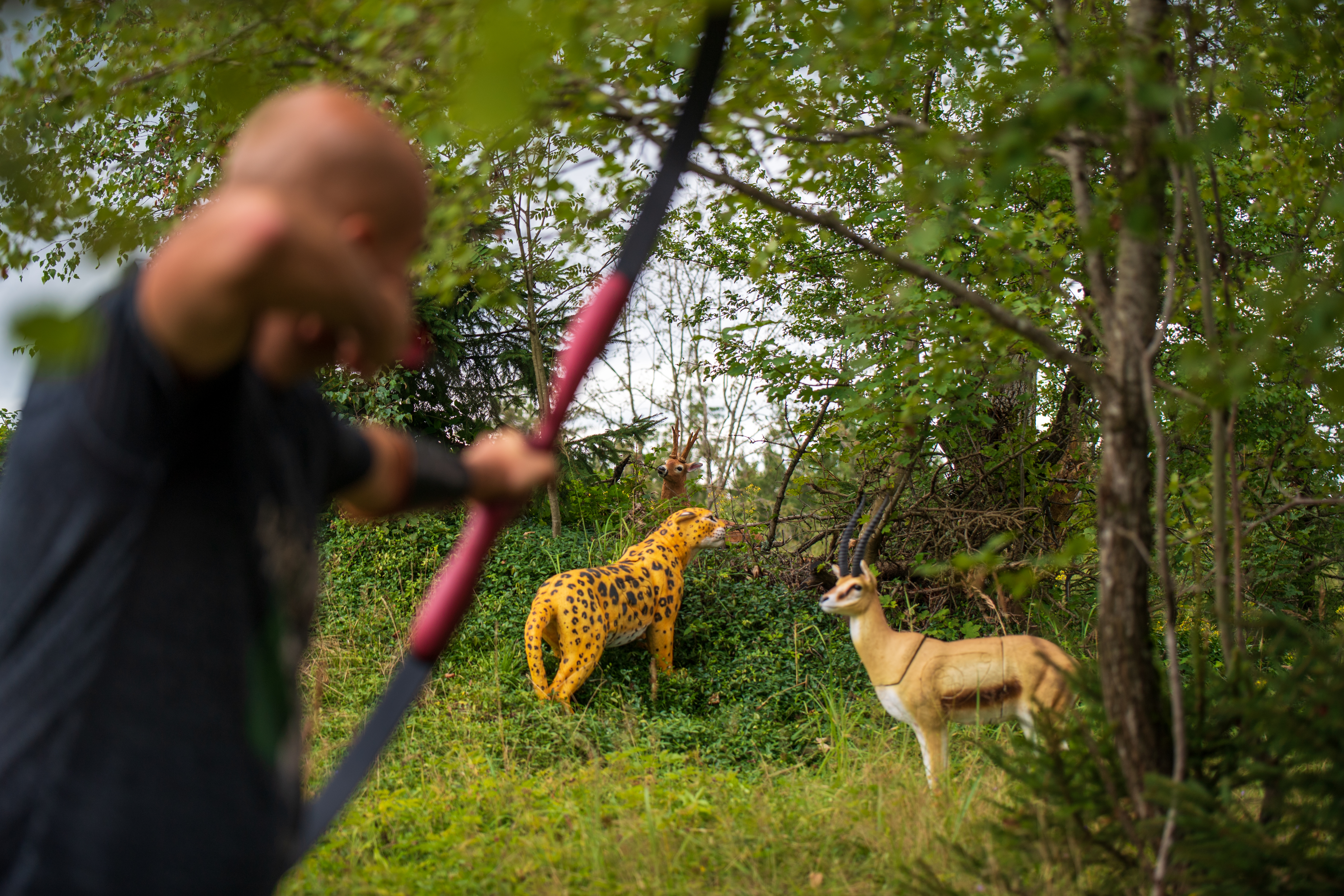 Hersteller&Marke-Details: 3D Kong Targets