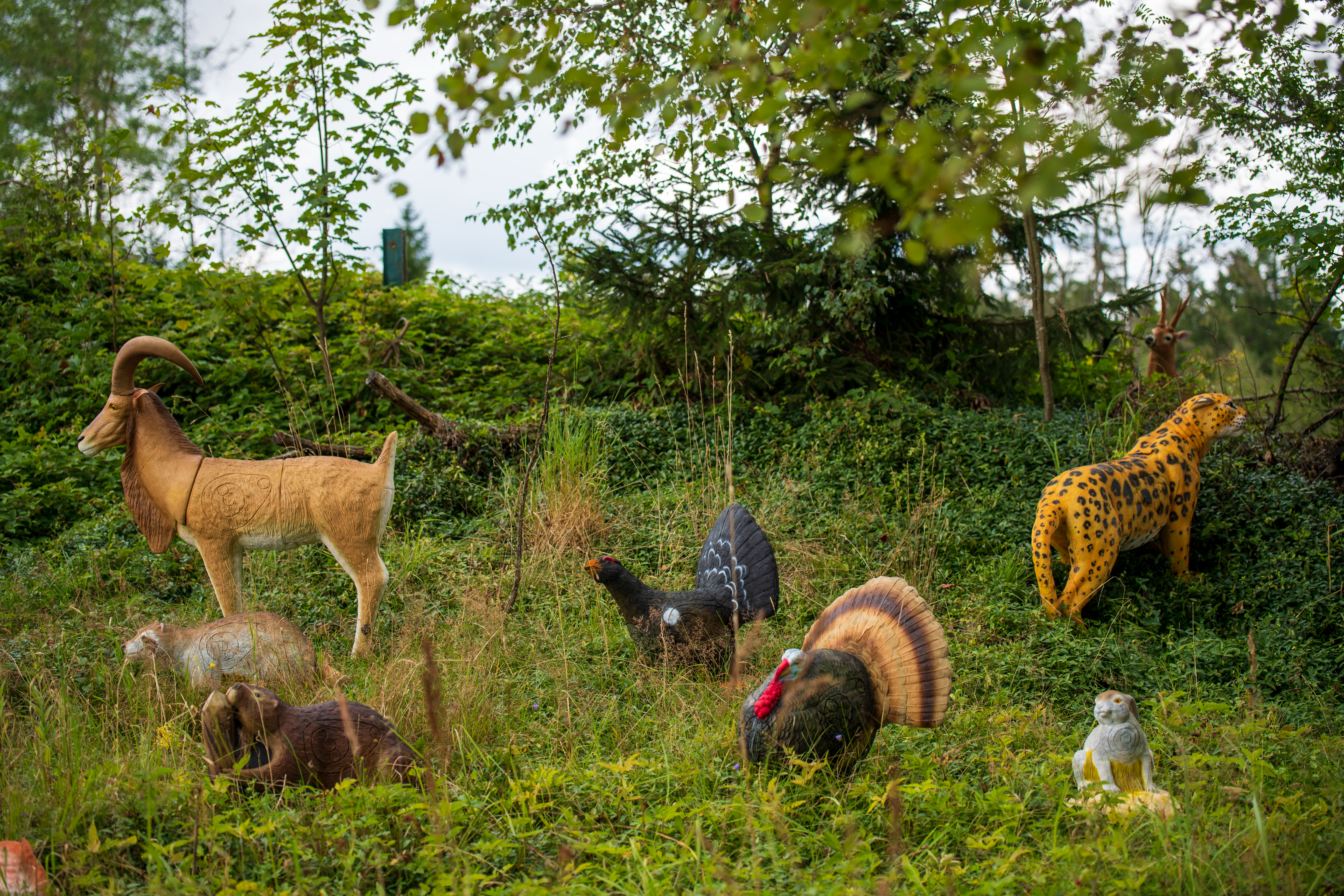 Hersteller&Marke-Details: 3D Kong Targets