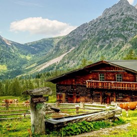 Urlaub & Essen: Erlebnisregion Schladming Dachstein