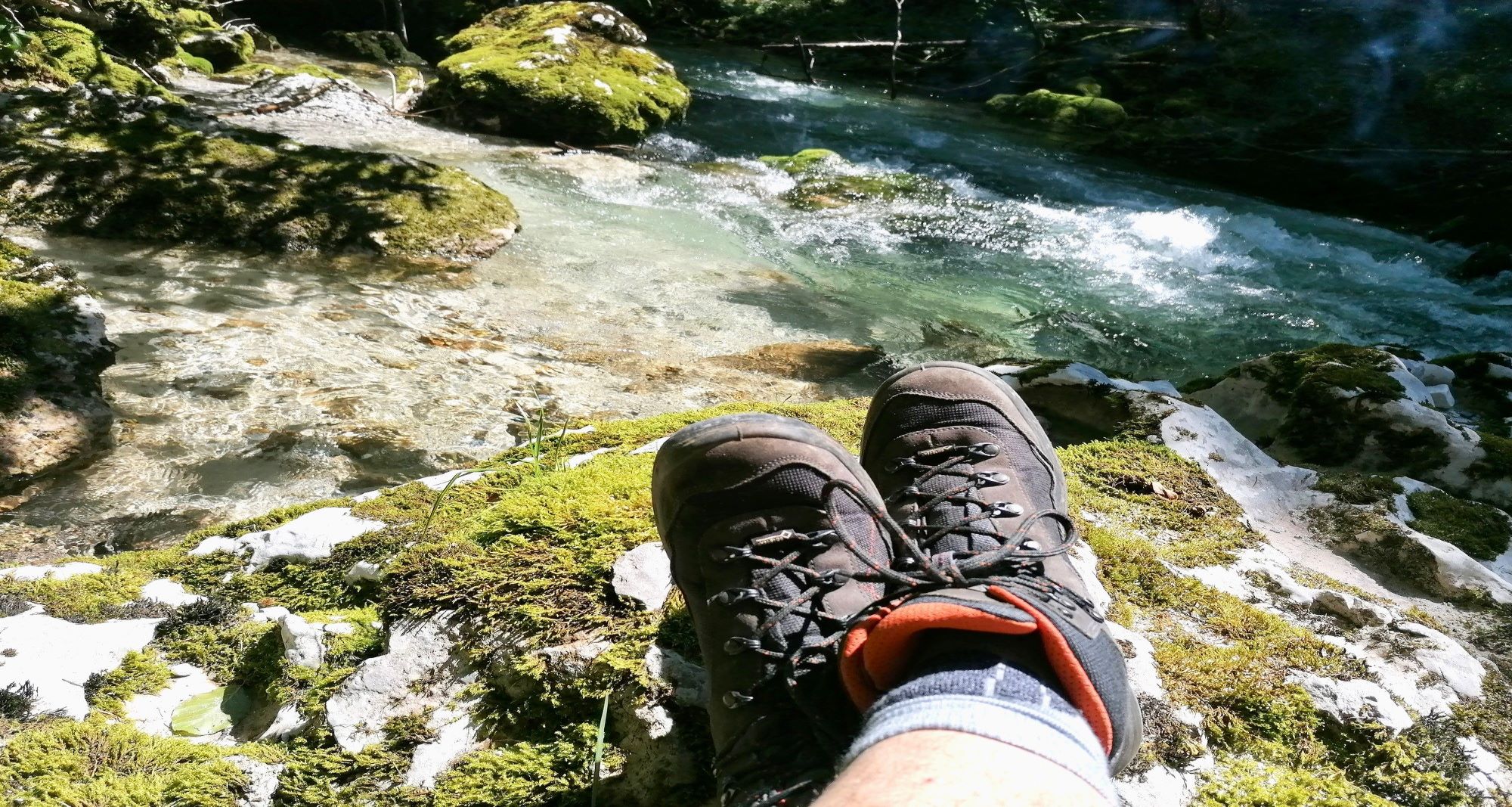 3D archery course - Styria - Erlebnisregion Schladming Dachstein