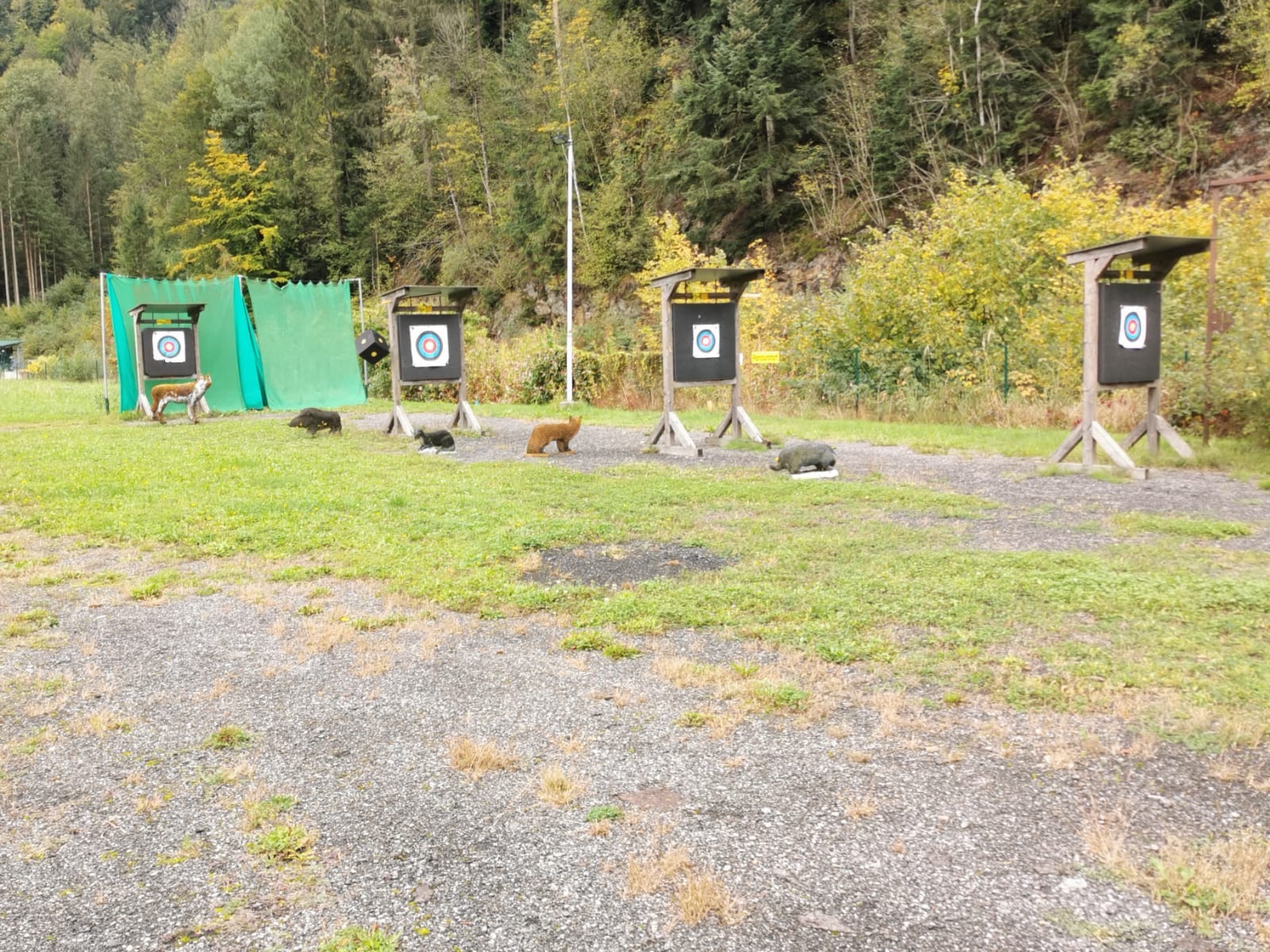 3D Parcour Bogensport - Steiermark - BSC-Festenburg