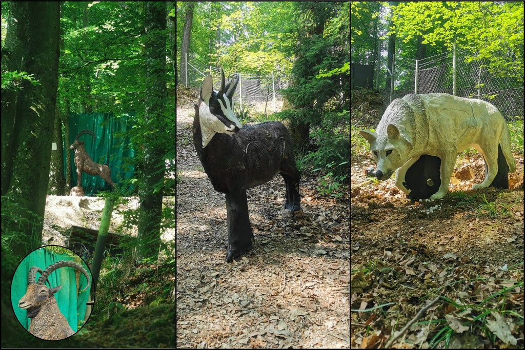 3D archery course - Hunde am Parcours erlaubt - Plateaubereich - PSV Reutlingen Feldbogen