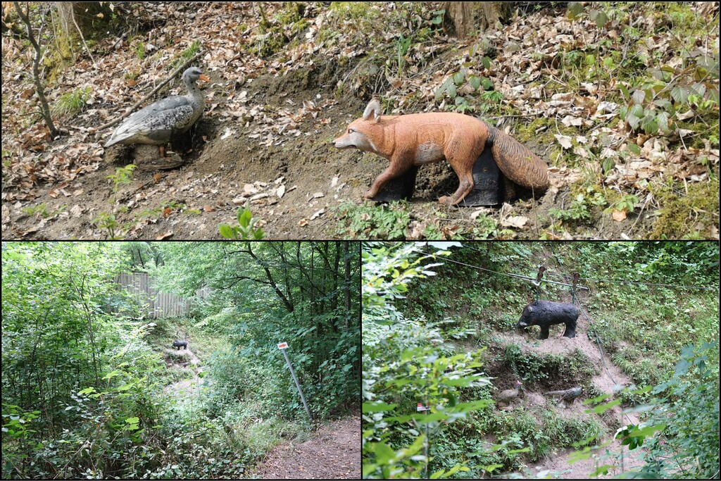 3D archery course - Hunde am Parcours erlaubt - Fliegende Sau - PSV Reutlingen Feldbogen