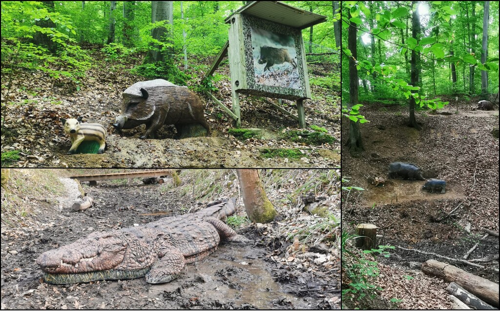 3D archery course - Hunde am Parcours erlaubt - Besondere Schüsse - PSV Reutlingen Feldbogen