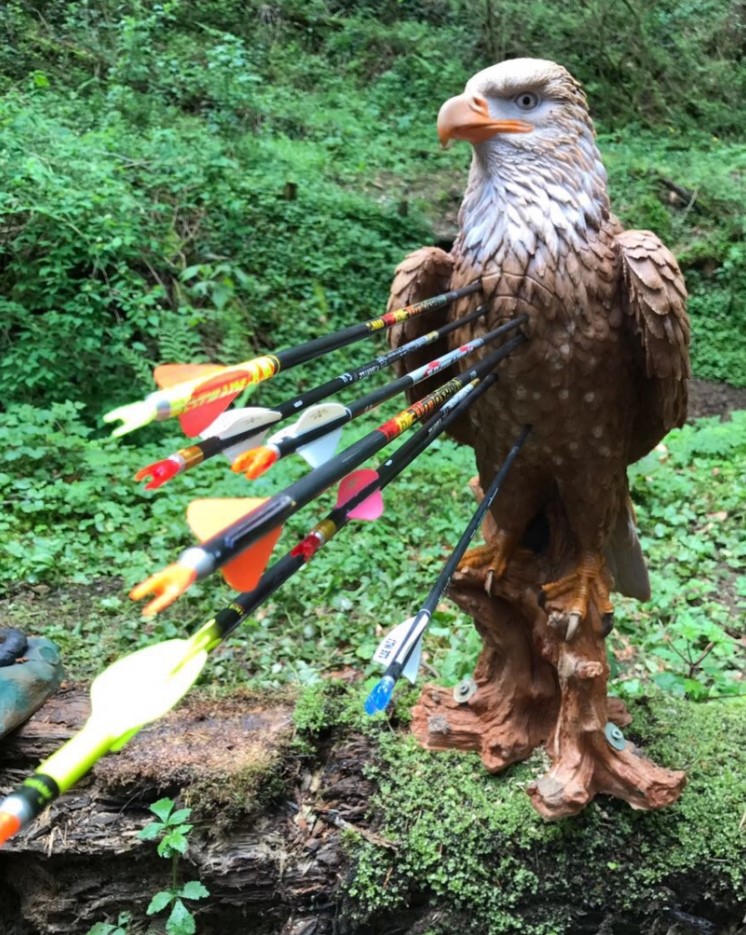 3D Parcour Bogenschießen: BSV Donzdorf