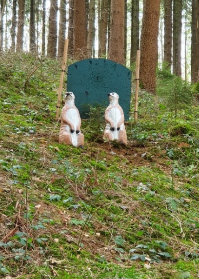 3D Parcour Bogenschießen: BSV Donzdorf