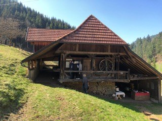 Parcours: Start und Ziel/Anmeldung und Rastmöglichkeit - Bogenparcours Schwarzwald