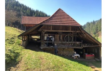 Parcours: Start und Ziel/Anmeldung und Rastmöglichkeit - Bogenparcours Schwarzwald
