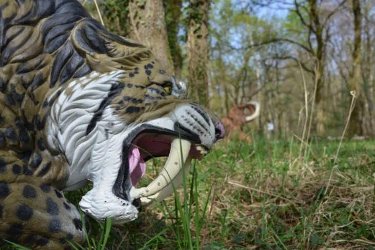 3D Parcour Bogensport - Offenburg (Ortenaukreis) - Baden-Bowmen e.V.