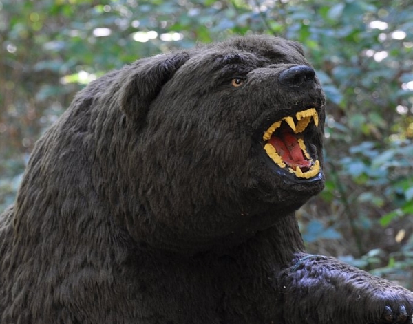 3D Parcour Bogensport - Offenburg (Ortenaukreis) - Baden-Bowmen e.V.