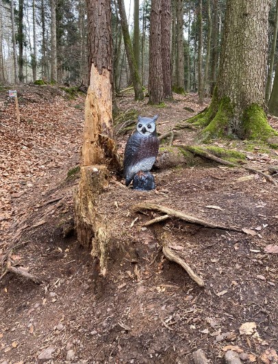 3D Parcour Bogensport - Offenburg (Ortenaukreis) - 3D Bogenparcours Sexau